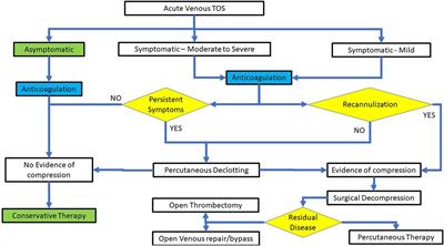 Endovascular management of acute and subacute venous thoracic outlet syndrome